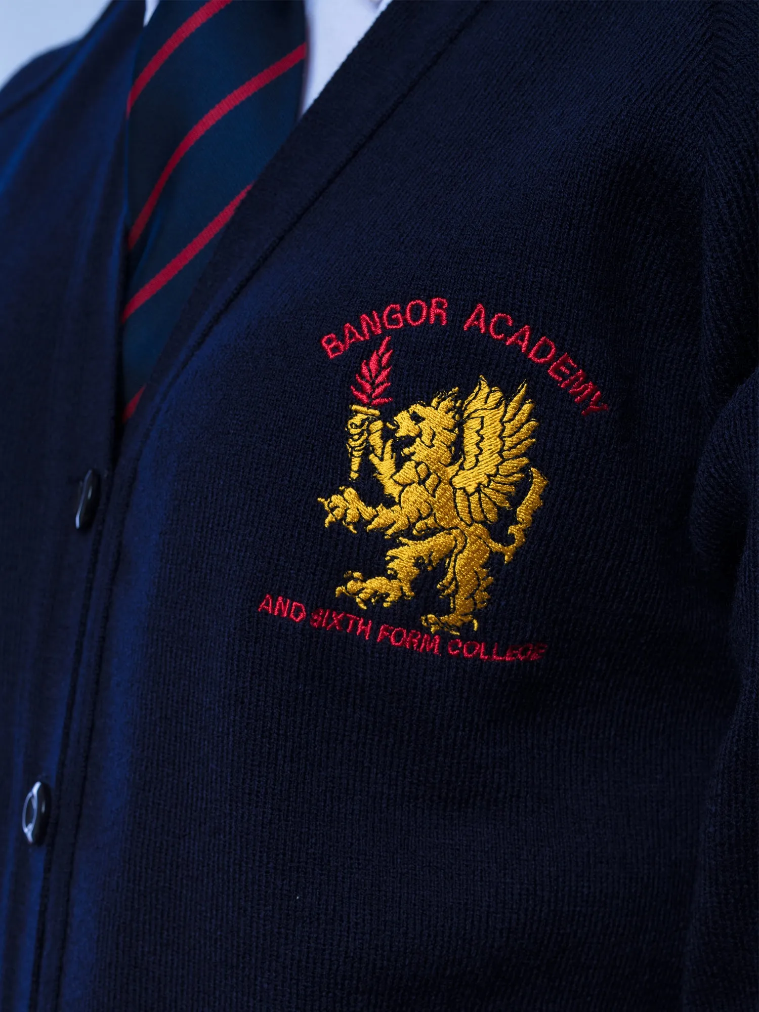 6th Year Cardigan