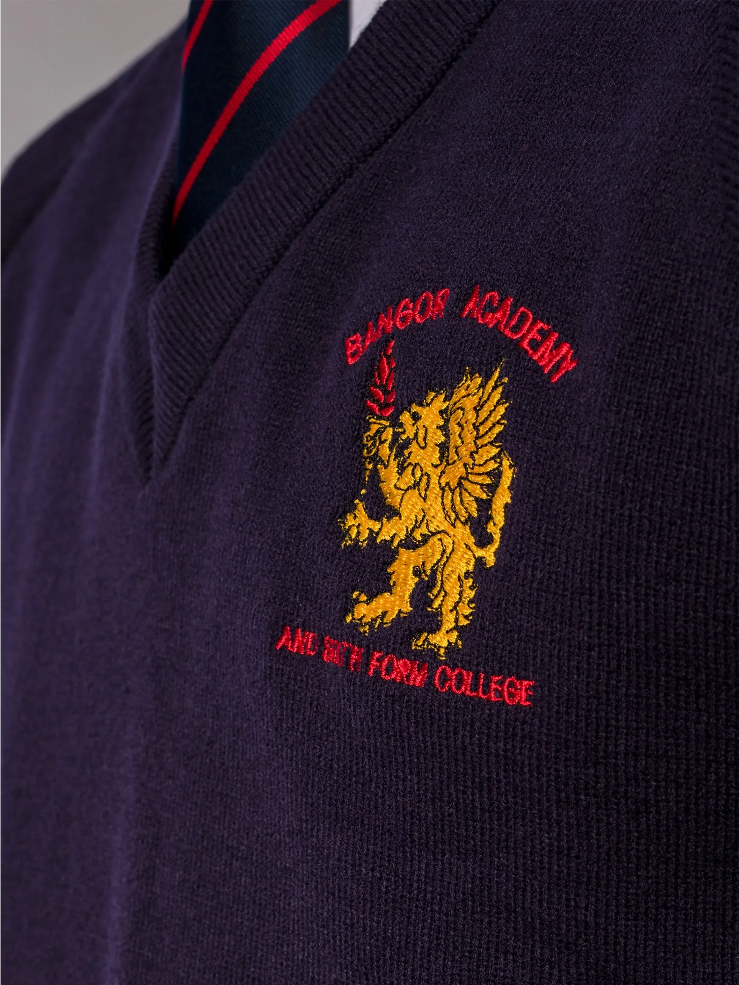 6th Year Jumper