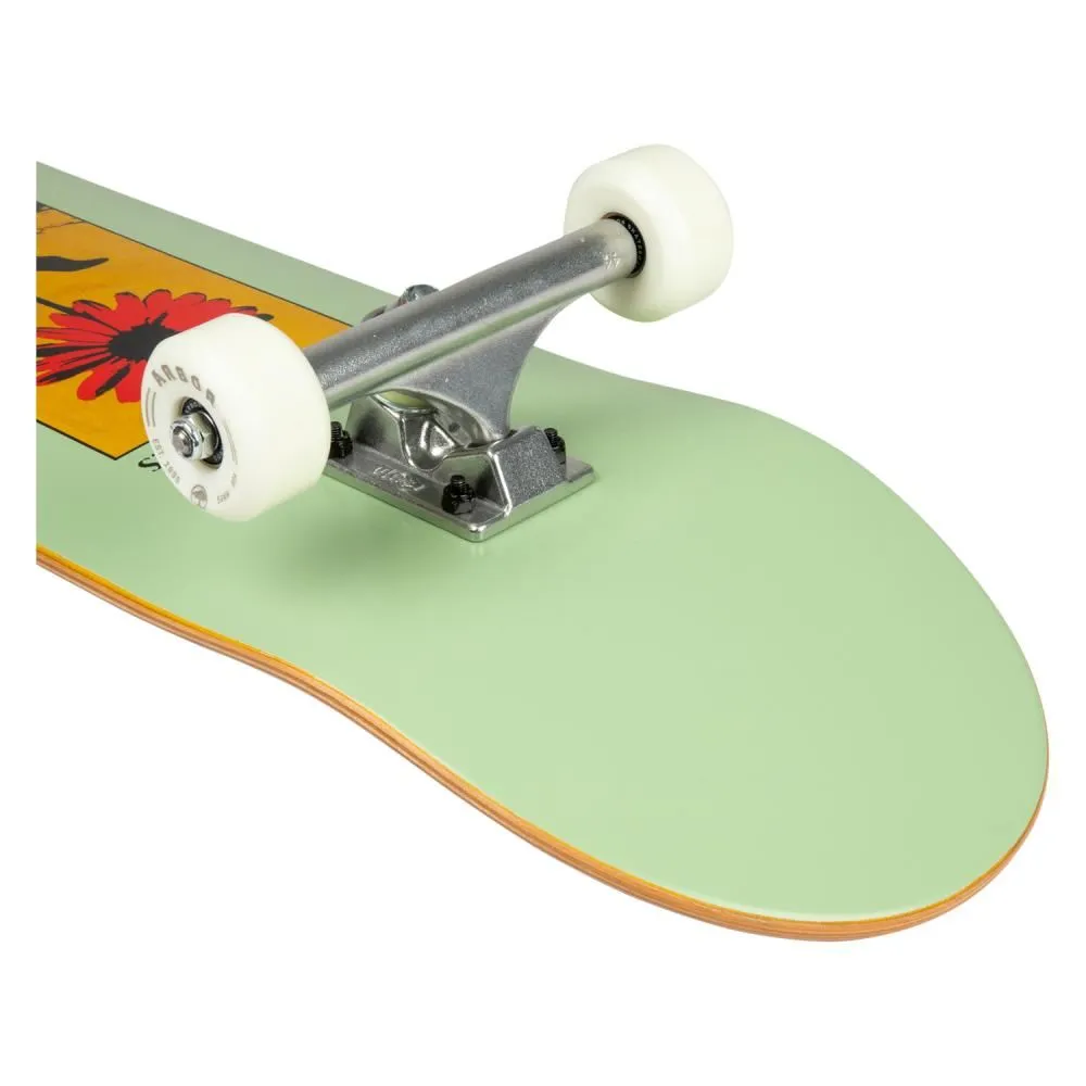 Arbor Street Street 8.25 Daisy Complete Skateboard - 8.25"