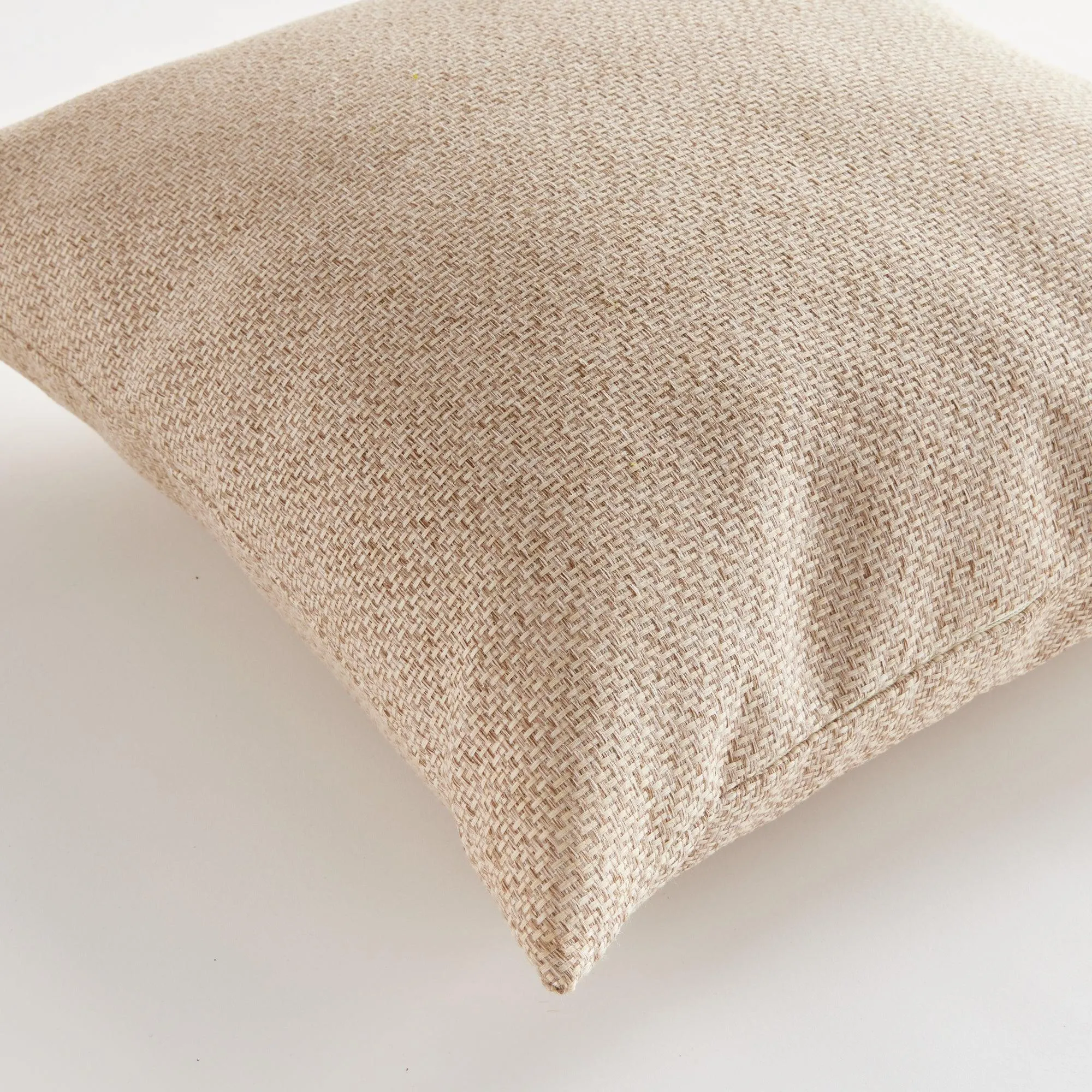 Blake Square Indoor Outdoor Pillow 24"