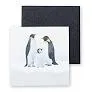 C. R. Gibson Gift Enclosure Card - Penguin