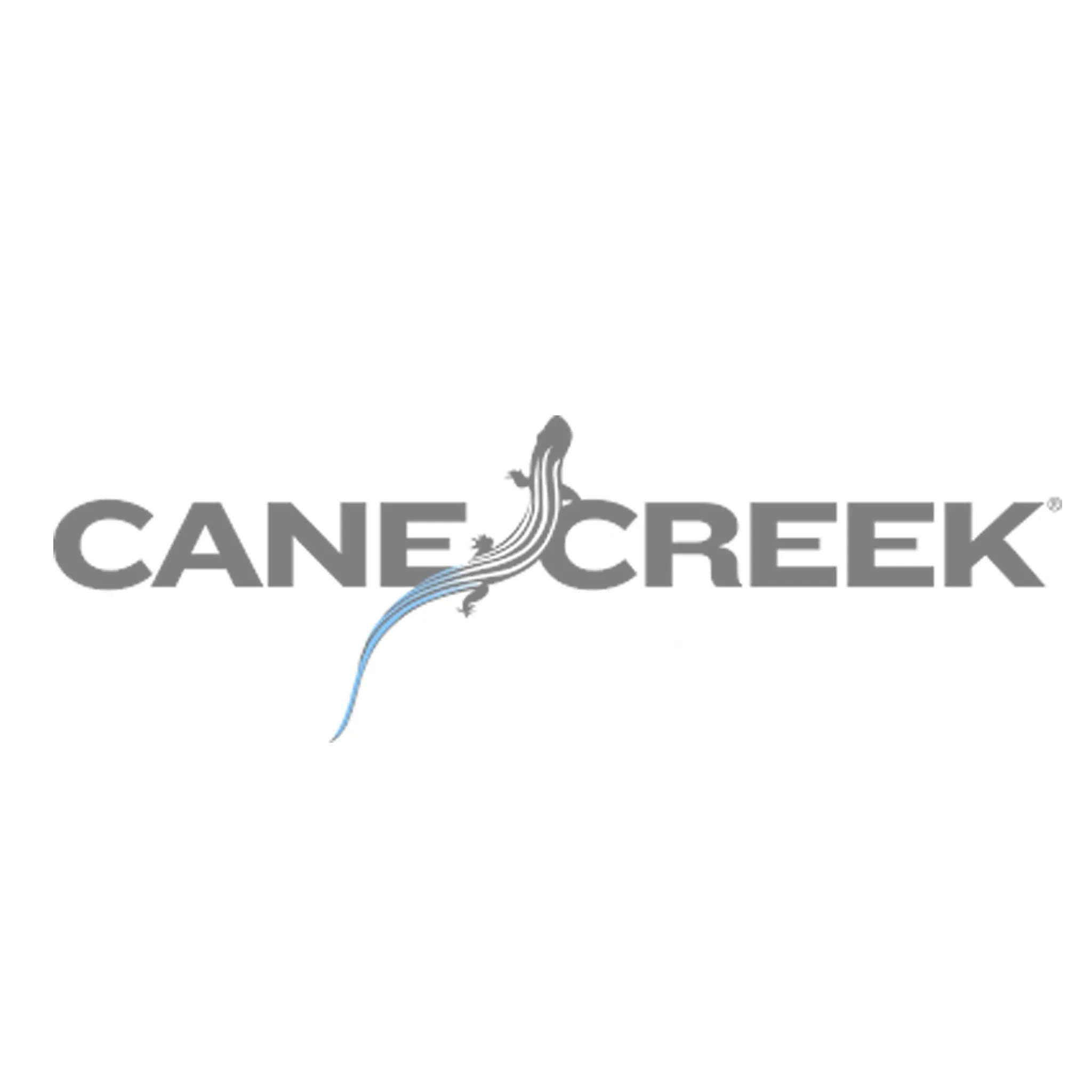 Cane creek HELM travel change kit