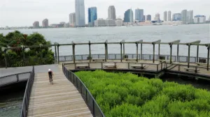 Cyclist Rides Across Battery Park Bridge