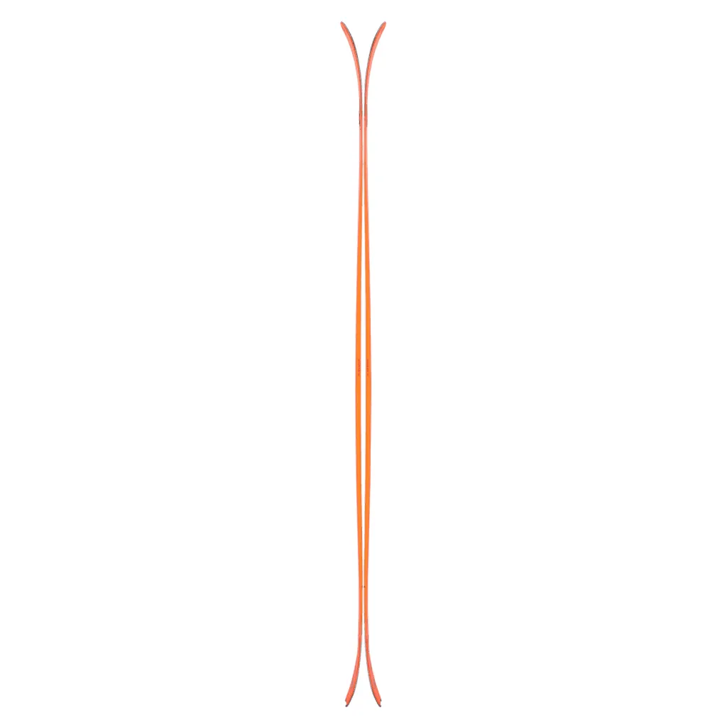 Draco freebird skis 2025