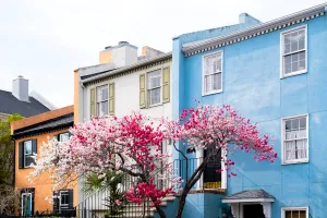 Fulton Street Blooms