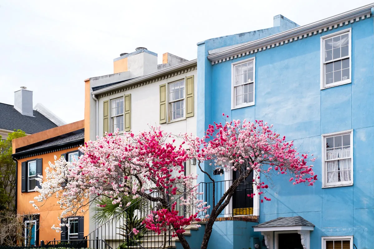 Fulton Street Blooms