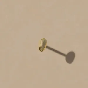 Grain Earrings