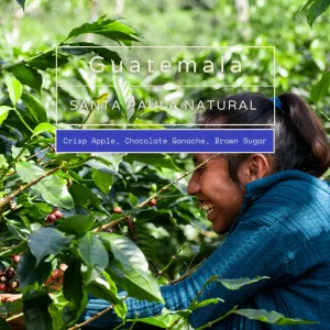 Guatemala - Santa Paula Natural