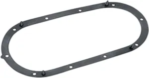 HardDrive 22252 Fuel Pump Door Gasket