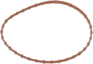 HardDrive 22253 Fuel Pump Door Gasket