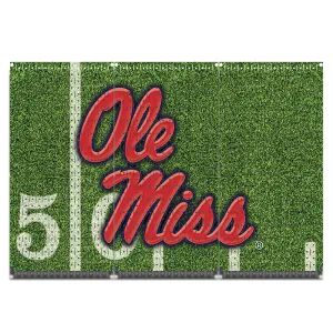 HWC13077  - Univ. of Mississippi | Ole Miss | (3 Panels) | 48" x 32" (tall) | Printed Pegboards | Collegiate
