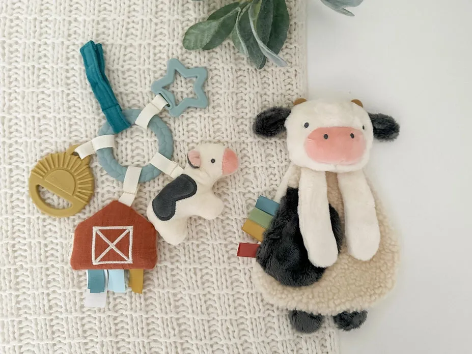 Itzy Ritzy - Bitzy Busy Gift Set