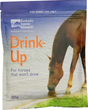 KER Drink Up Sachet