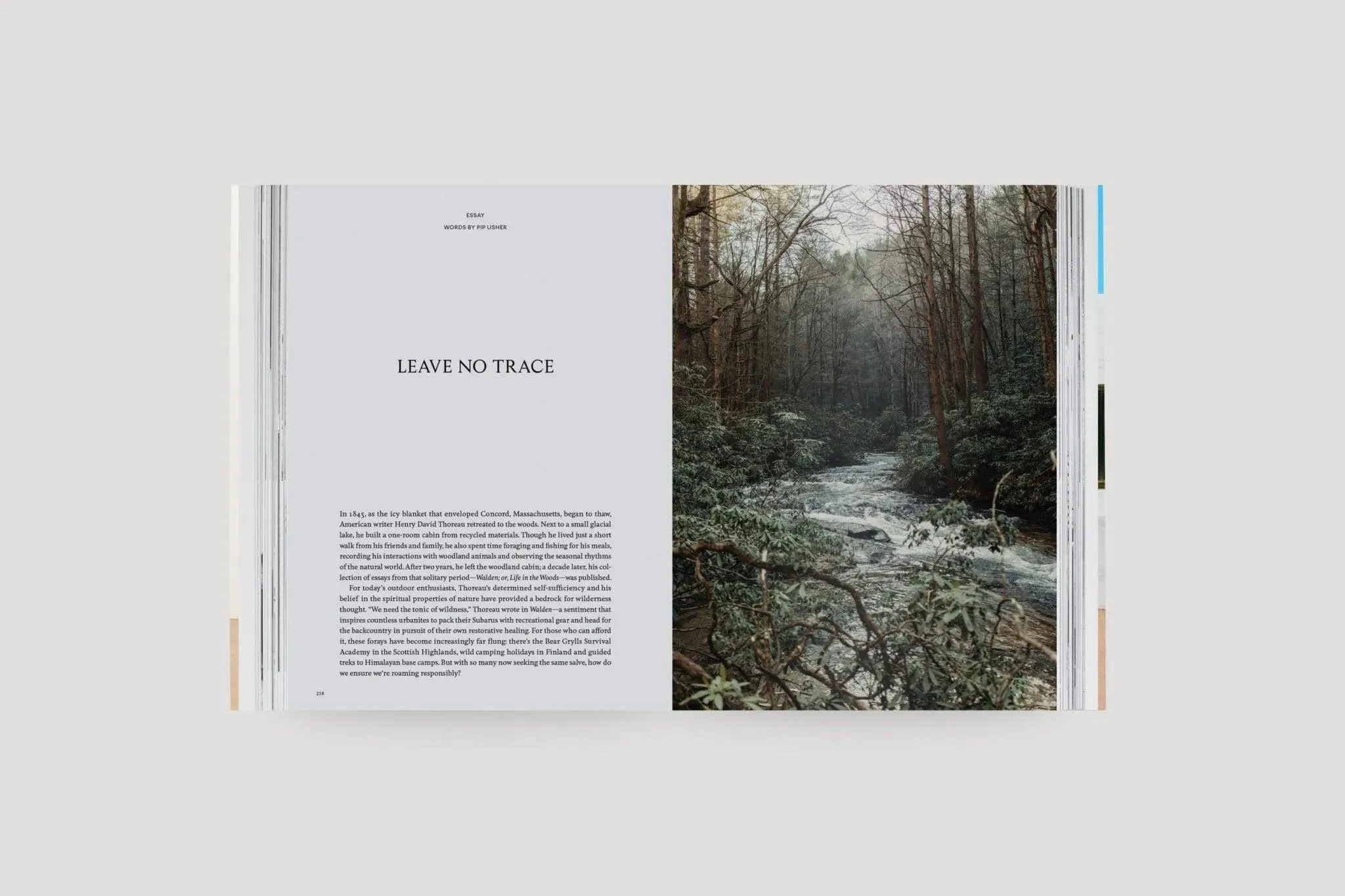 Kinfolk Travel