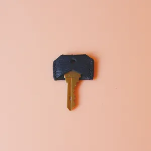 Maya Key Cover