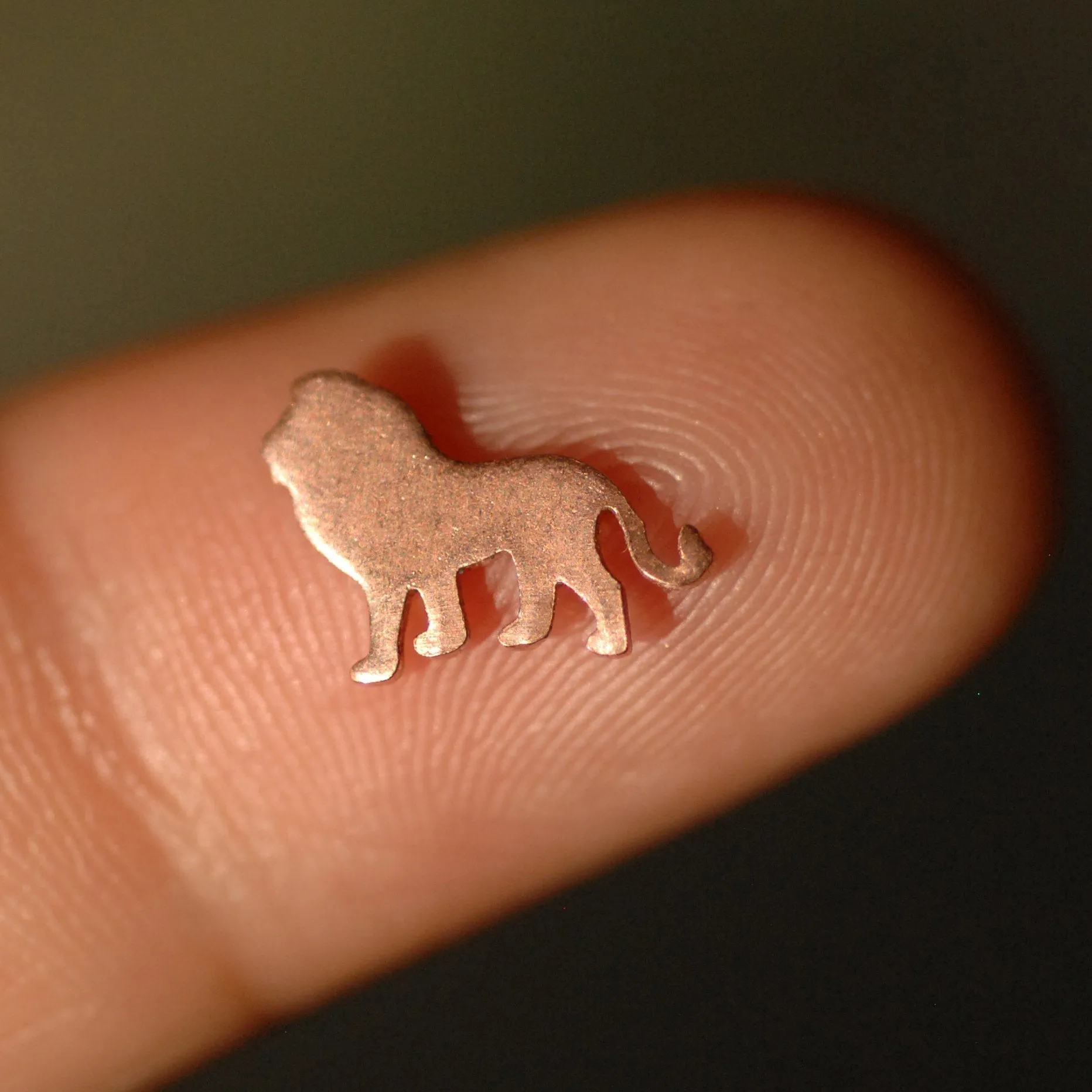 My MOST Super Tiny Realistic Lion Blank Metal Cutout for 24g DIY Tiny Blanks for Jewelry Making Mini shapes, Supplies by SupplyDiva