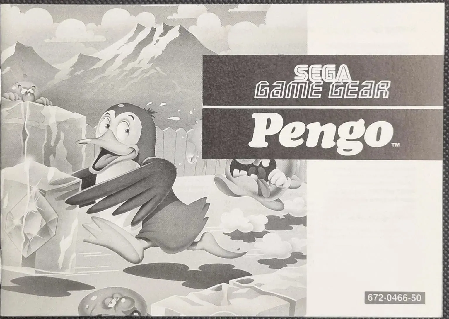Pengo manual