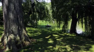 People Row Boating on The Lake in Central Park NYC