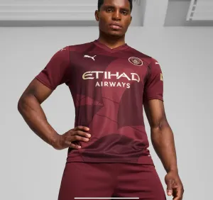 Puma Manchester City 24/25 Third Jersey