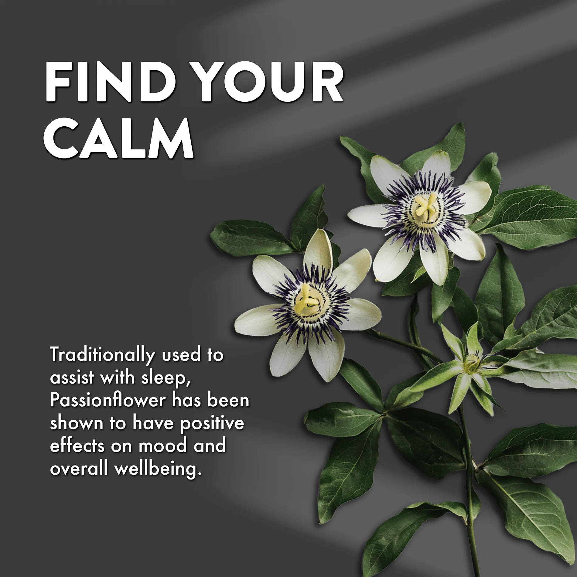 RELAXING PASSION FLOWER 60CT