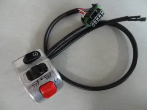 RH Switch, EV Touring (#03738870)