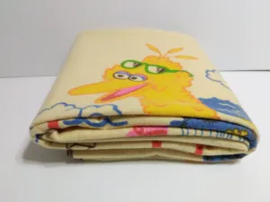 Sesame Street Chatham Blanket