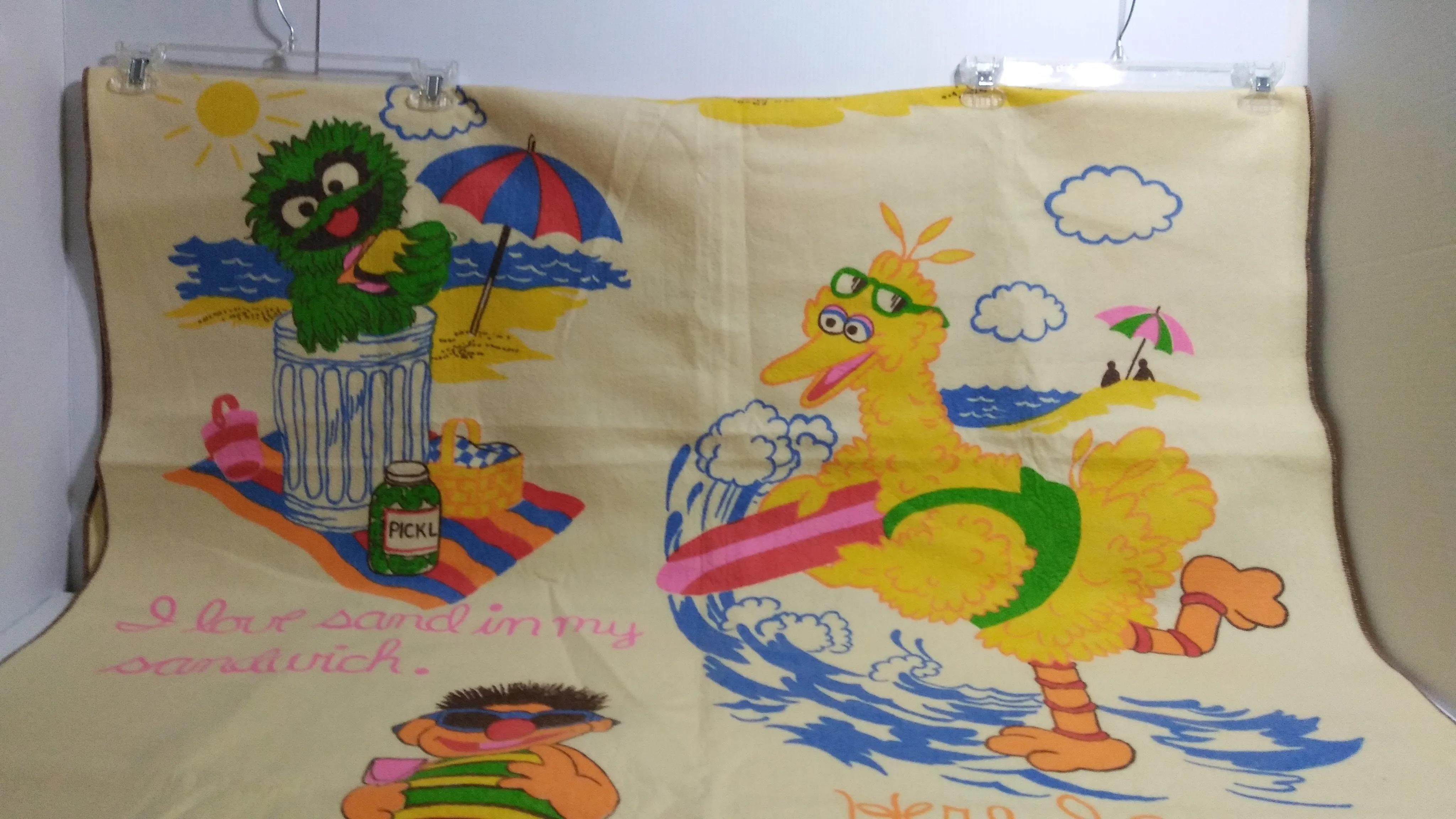 Sesame Street Chatham Blanket