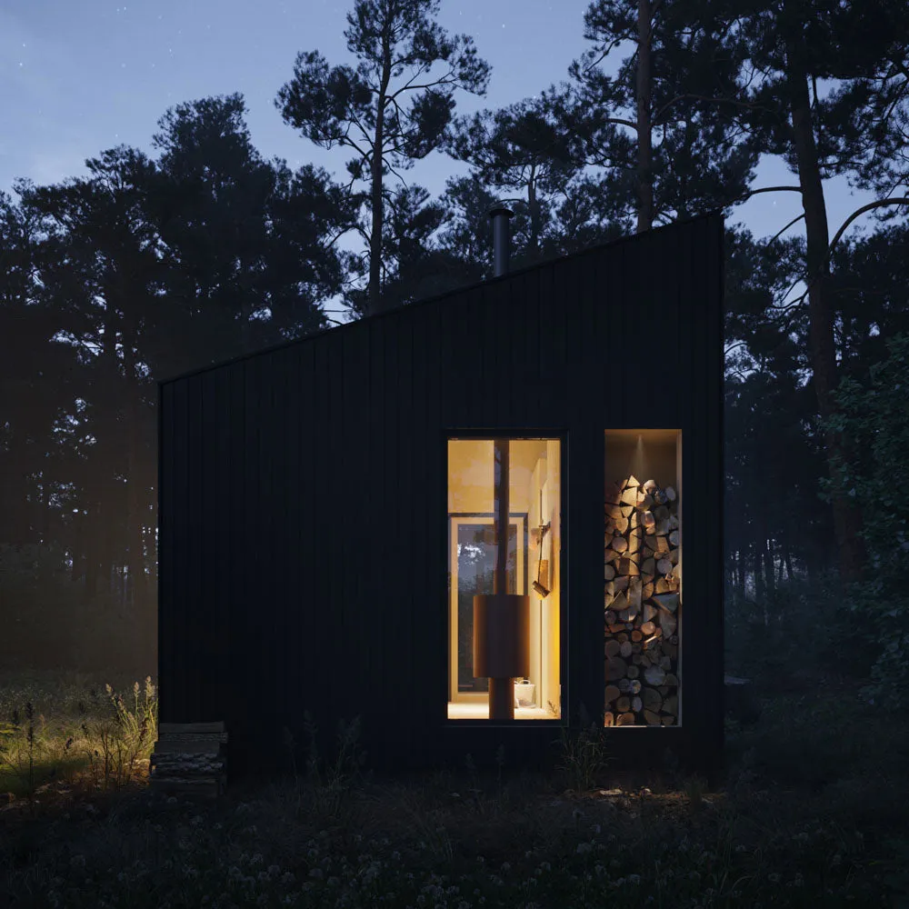 Shed Tiny House