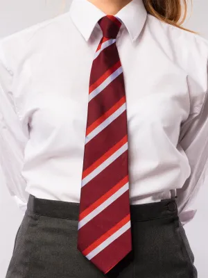 Sketrick Tie