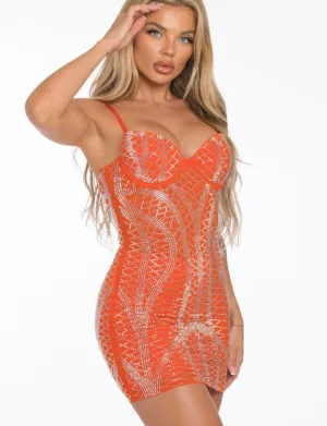 Sleeveless Mesh Dress (C43)