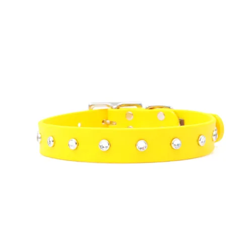 Sparkle Sport Collar — L (1" width)