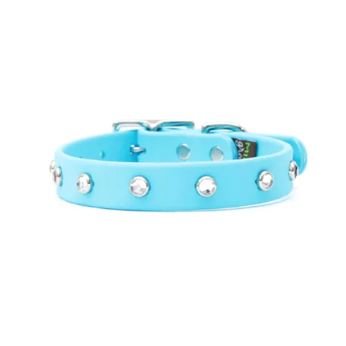 Sparkle Sport Collar — L (1" width)
