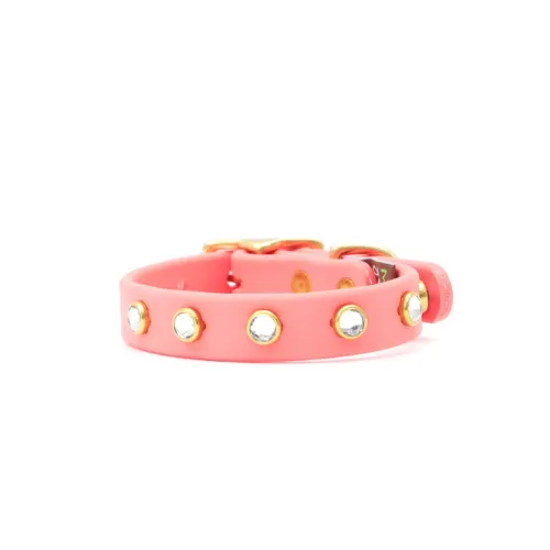 Sparkle Sport Collar — L (1" width)