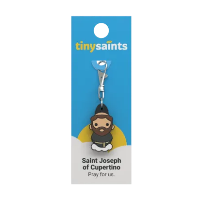 St. Joseph of Cupertino Tiny Saint