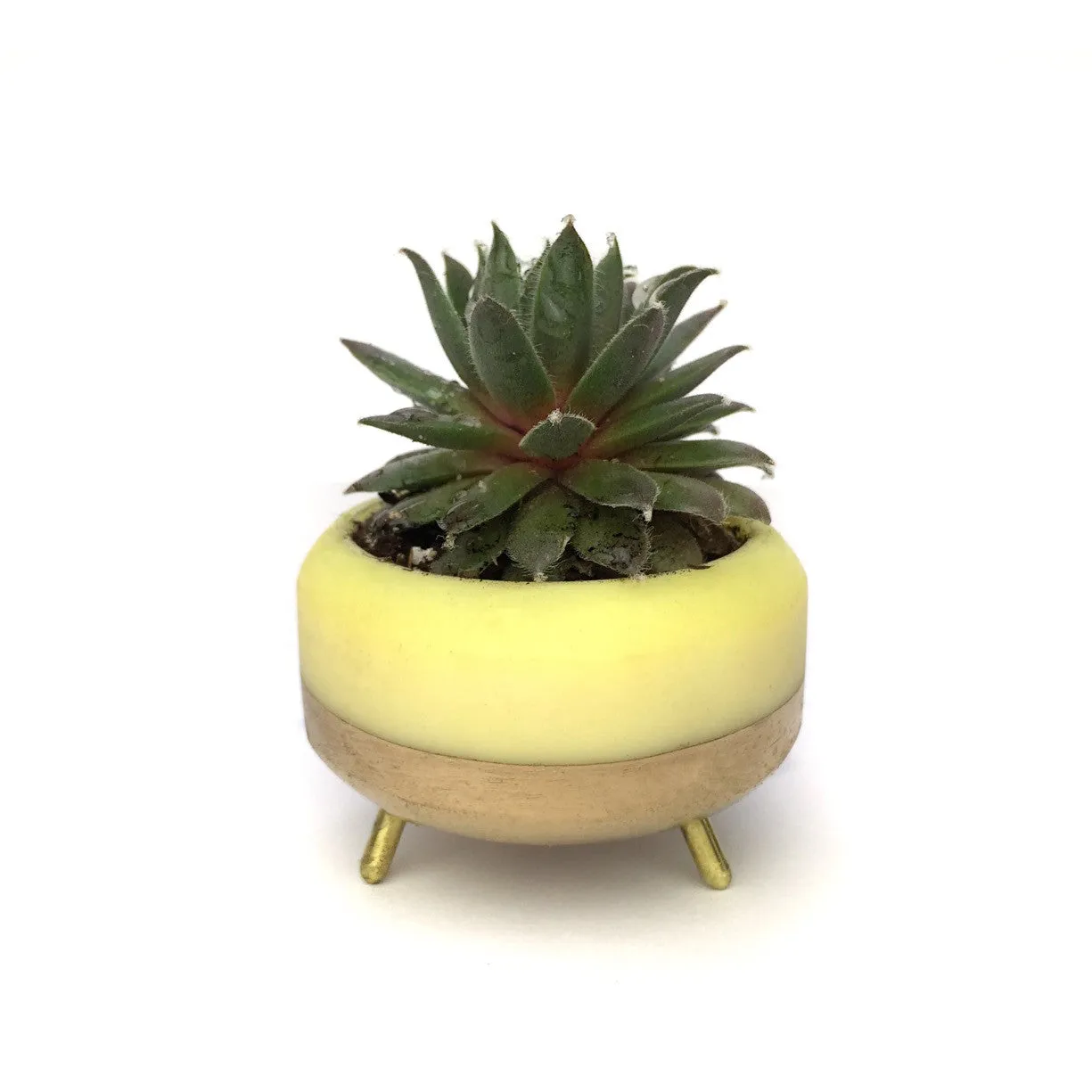 Street Planter