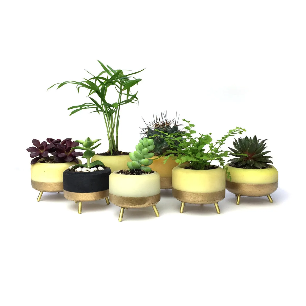 Street Planter