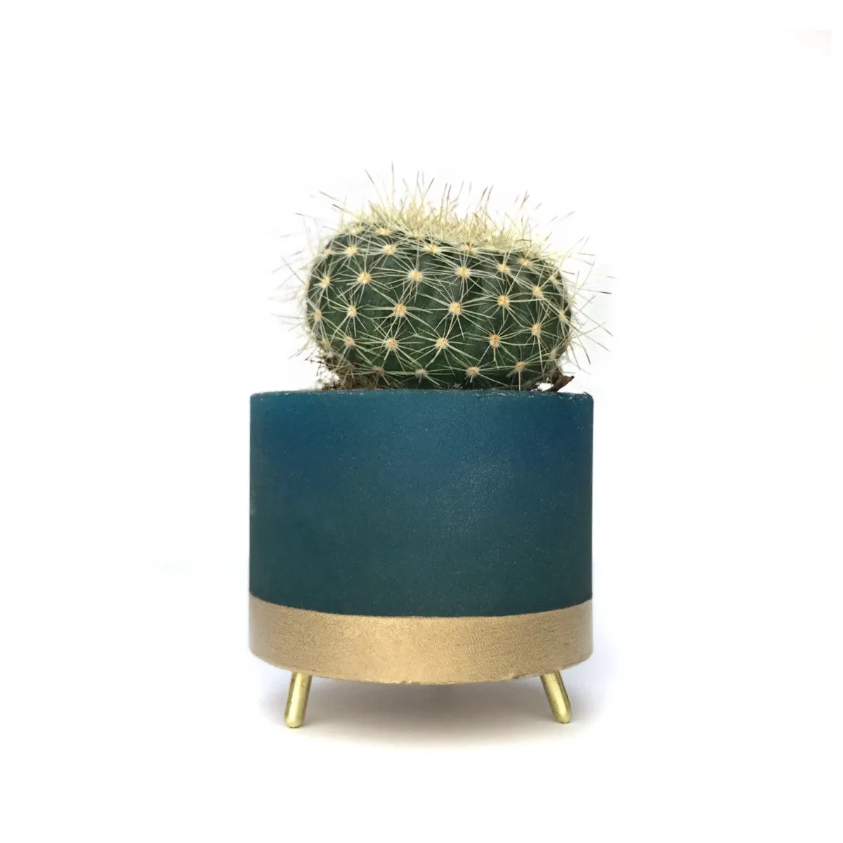 Street Planter