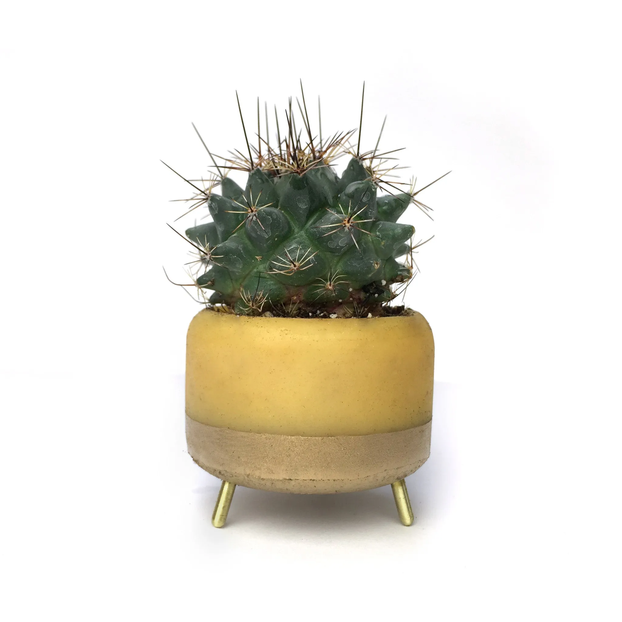 Street Planter