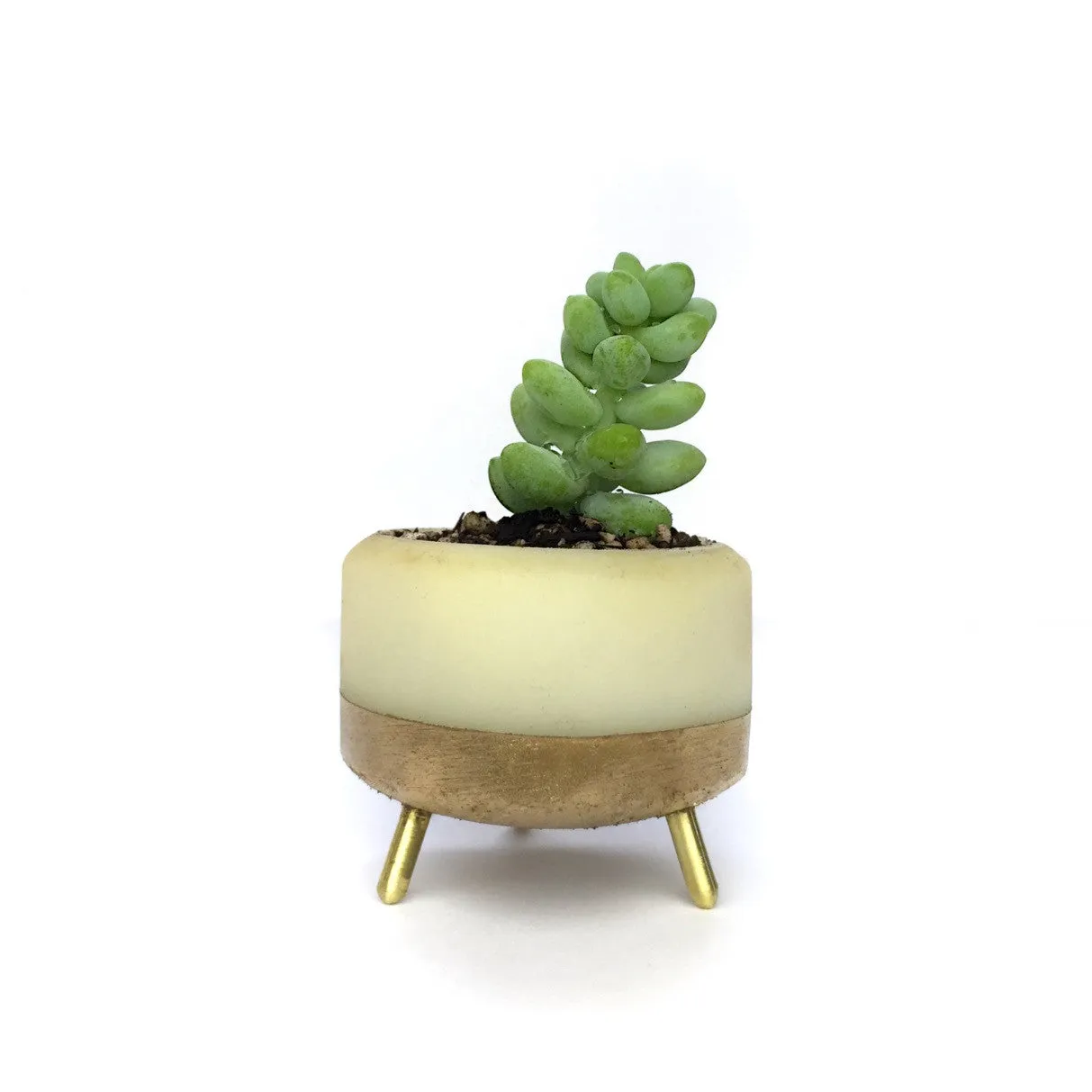 Street Planter