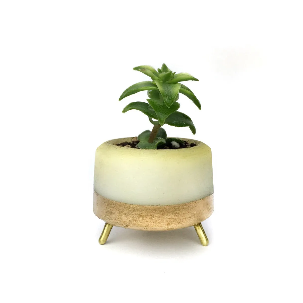 Street Planter