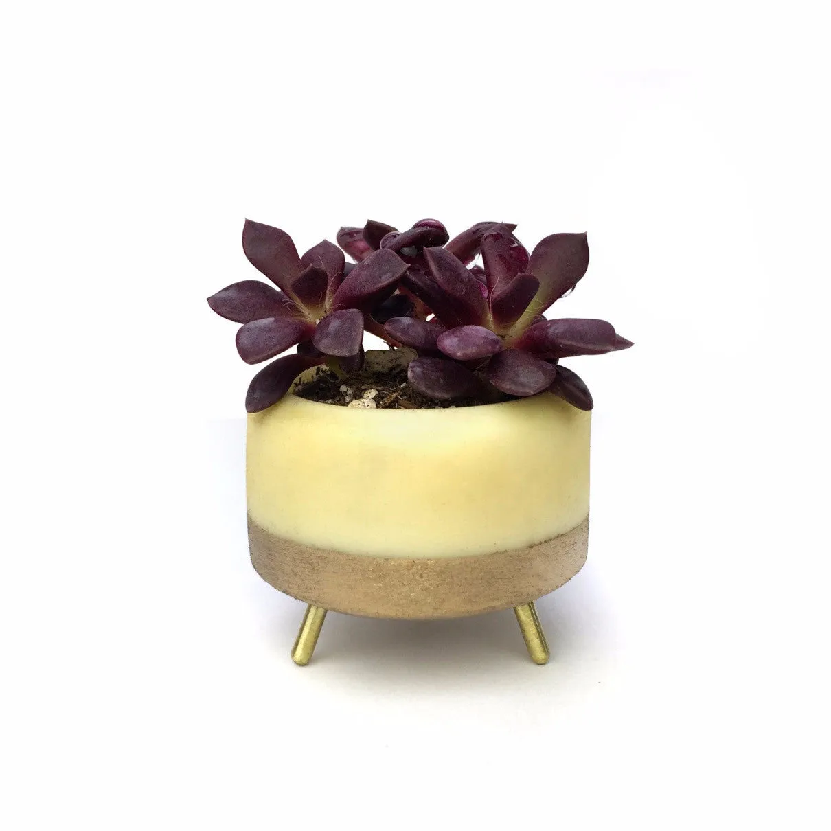 Street Planter