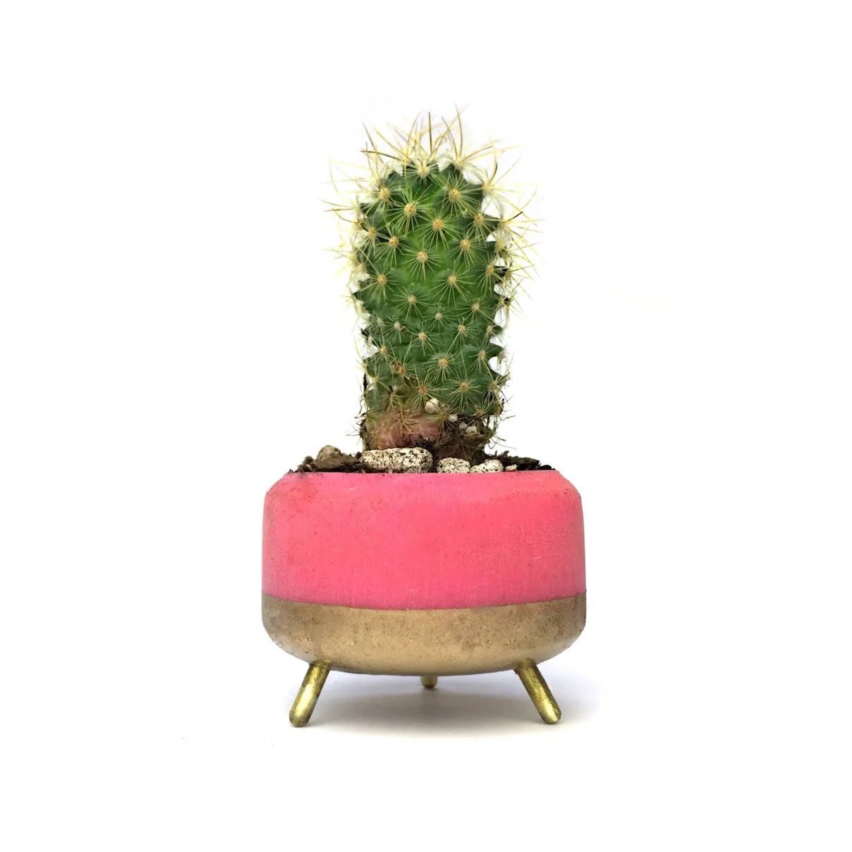 Street Planter