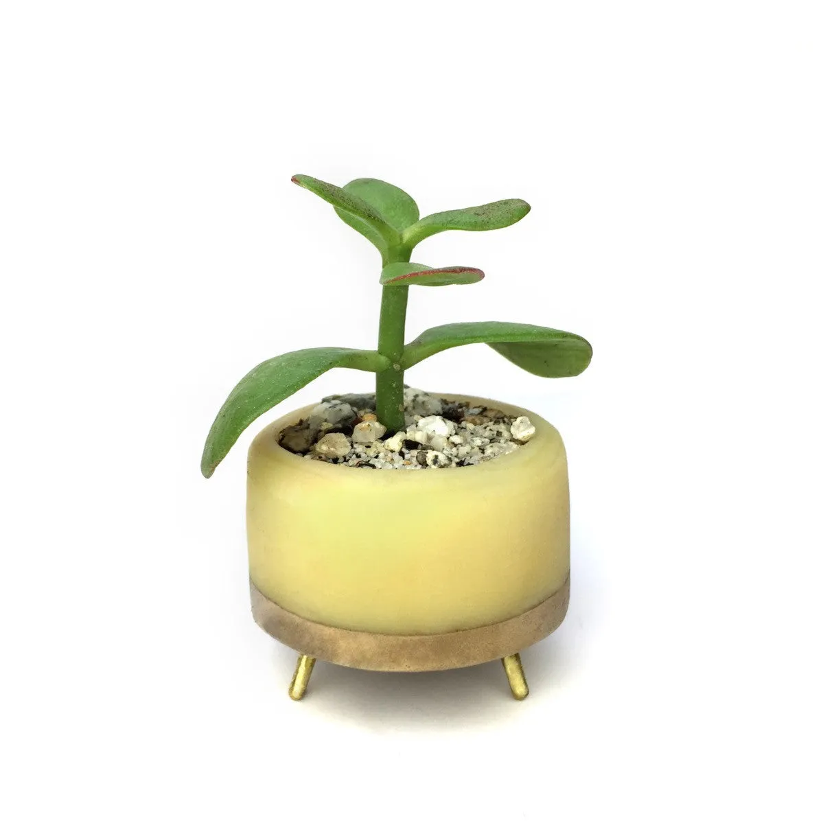 Street Planter