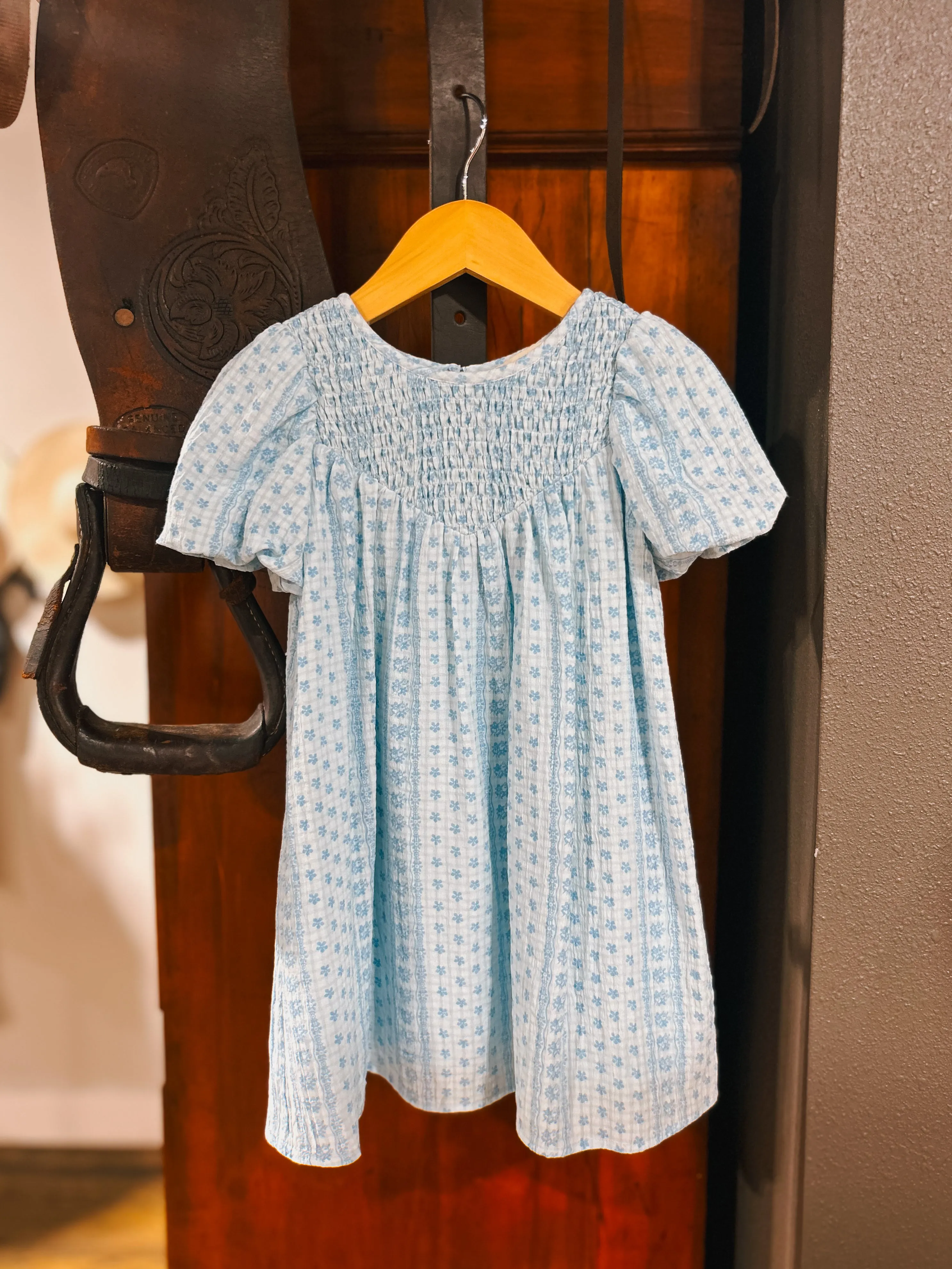 The Blue Bell Dress (3T)