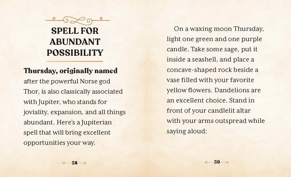 The Witches' Wealth Spell Book