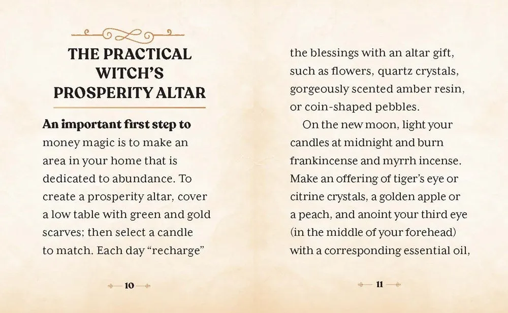 The Witches' Wealth Spell Book
