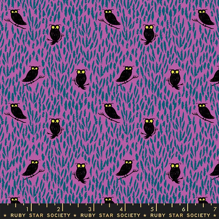 Tiny Frights, Eerie Owls Witchy