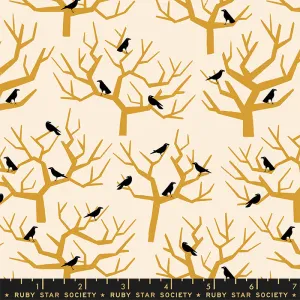 Tiny Frights, The Birds Natural