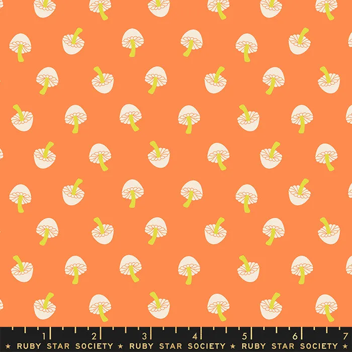 Tiny Frights, Tiny Mushrooms Pumpkin