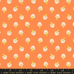 Tiny Frights, Tiny Mushrooms Pumpkin